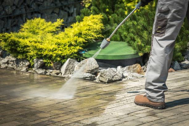 Best Warehouse Cleaning  in Coalinga, CA