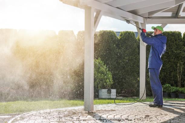 Best Animal Enclosure Cleaning  in Coalinga, CA